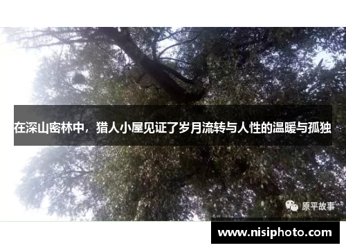 在深山密林中，猎人小屋见证了岁月流转与人性的温暖与孤独