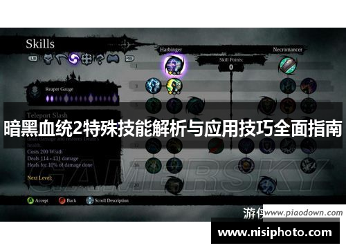暗黑血统2特殊技能解析与应用技巧全面指南