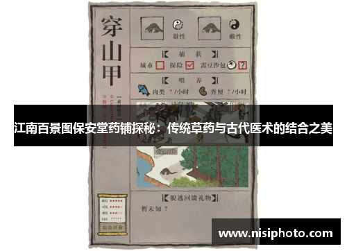 江南百景图保安堂药铺探秘：传统草药与古代医术的结合之美